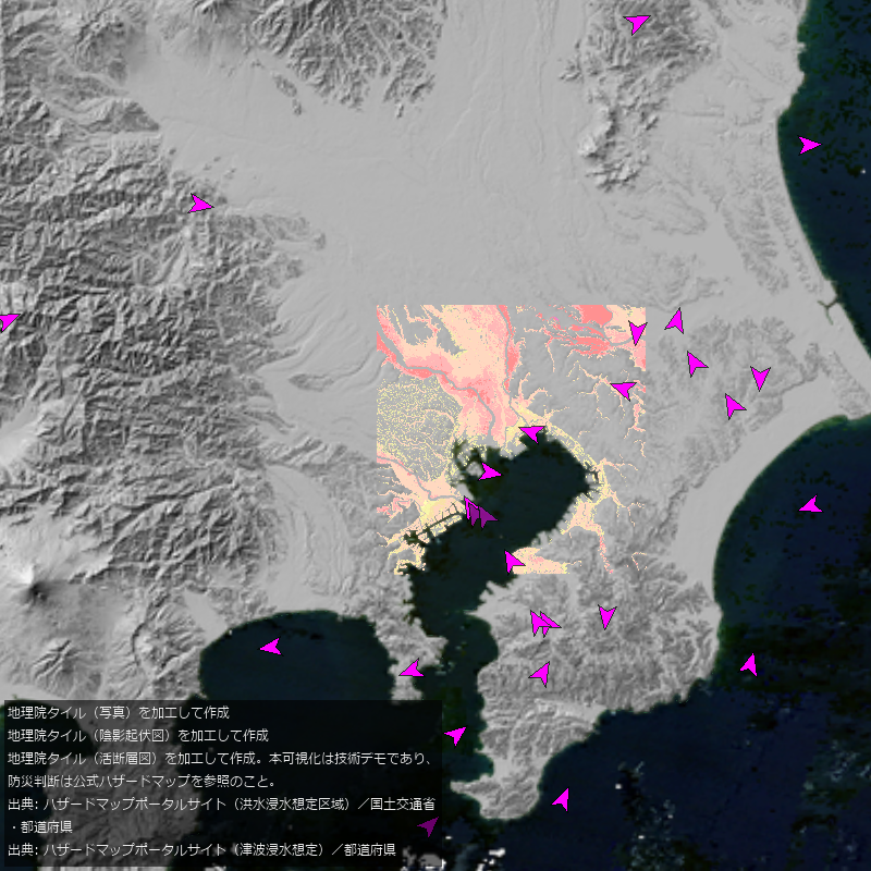 Oblique Mercator over GSI tiles and hazard-related layers near Tokyo